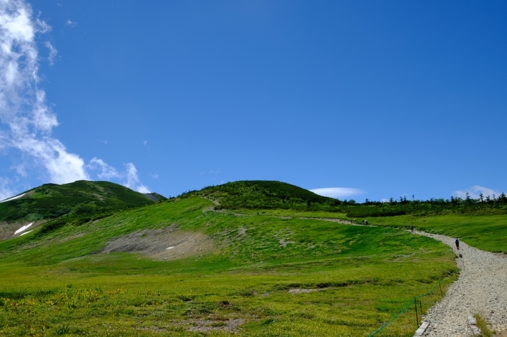 2020 夏休み一人登山 白馬三山、唐松岳_e0000910_08454633.jpg