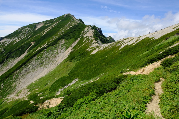 2020 夏休み一人登山 白馬三山、唐松岳_e0000910_11272323.jpg