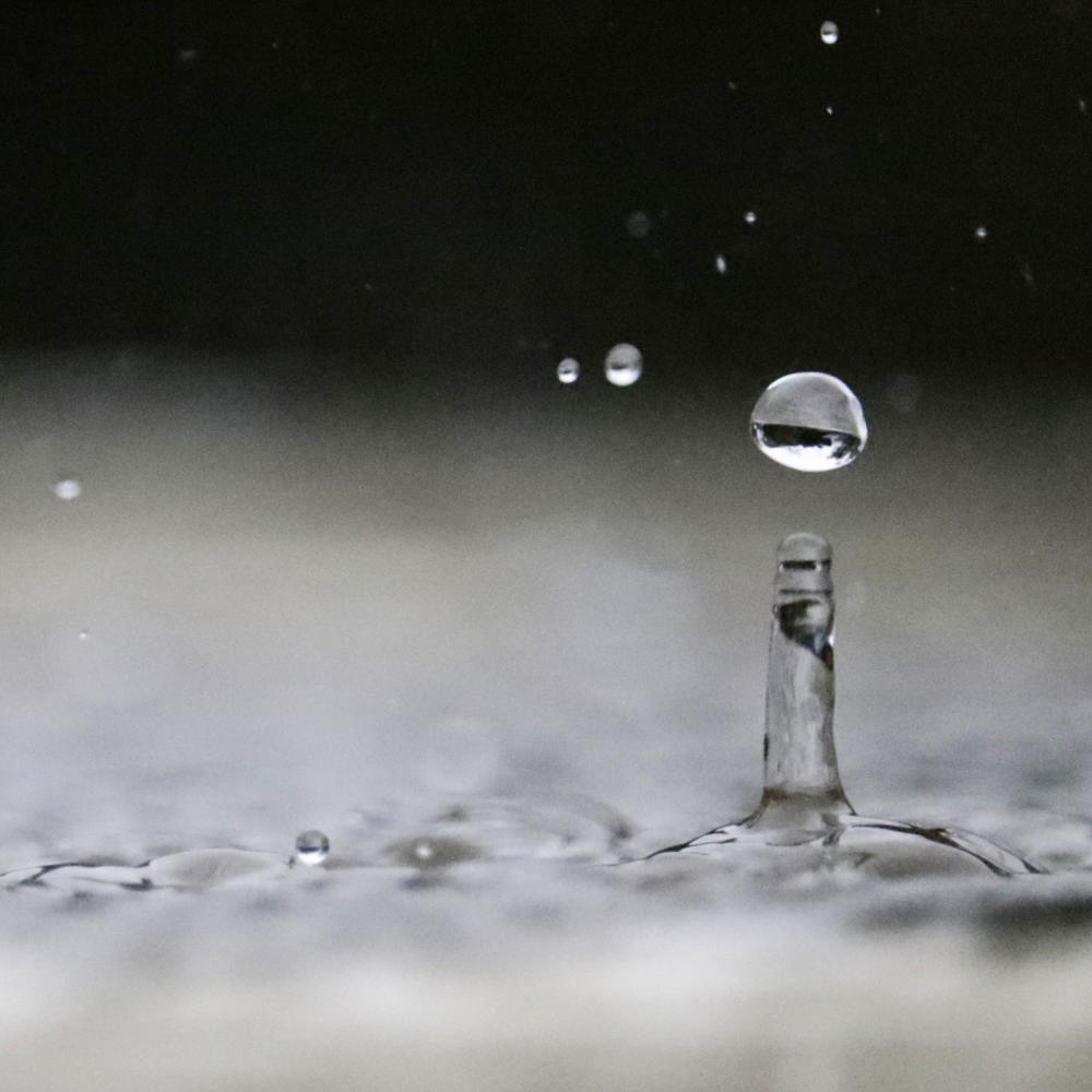 雨滴が着地するその瞬間_c0060143_23175266.jpg