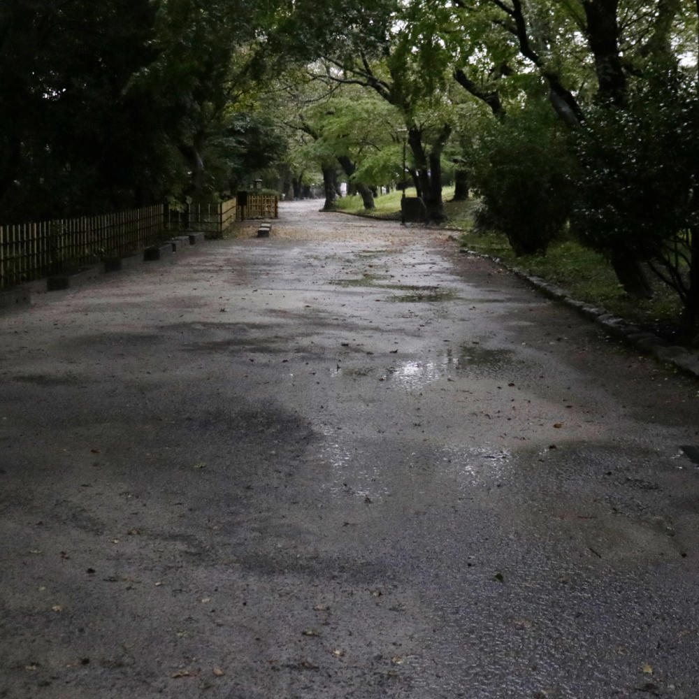 飛鳥山のモノレール「アスカルゴ」と倍賞千恵子さん_c0060143_23241926.jpg