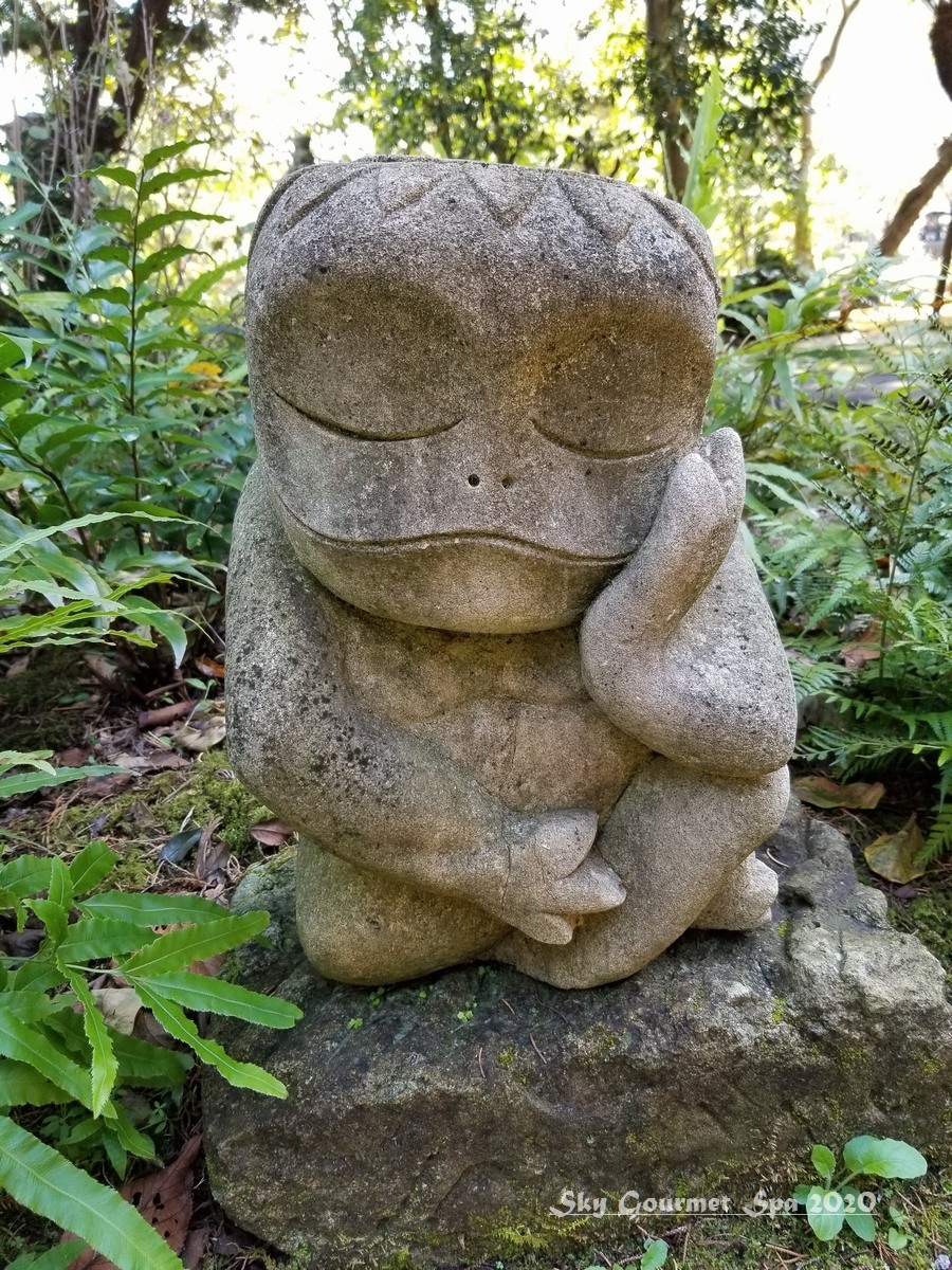 考えるカッパ 年10月 空とグルメと温泉と