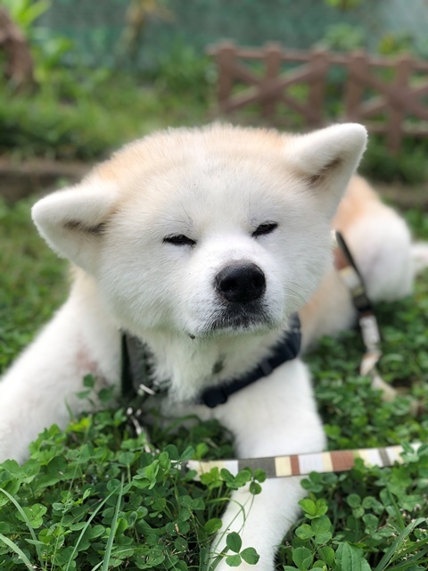 うっかり母さん_c0257276_23412798.jpg