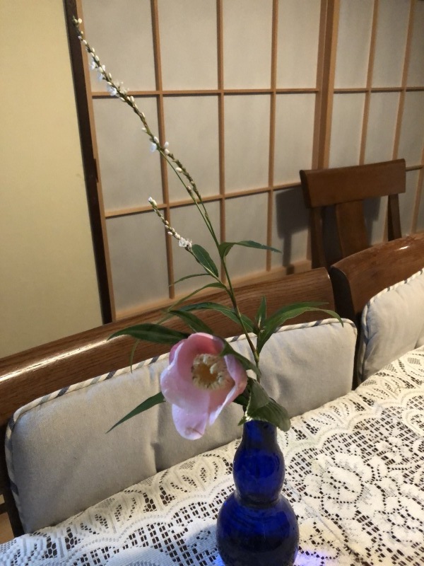基礎体力_a0129492_05542588.jpeg
