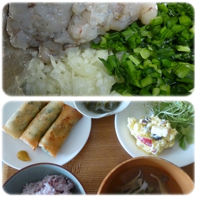 春巻きが食べた~い!_b0198109_19505820.jpg