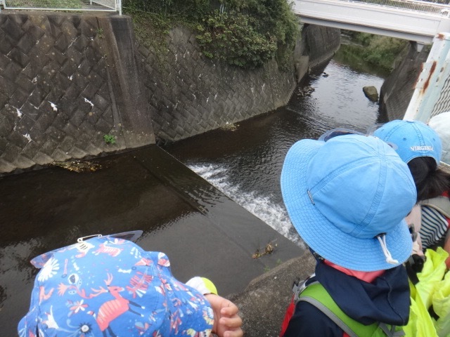 このはつちぐみ 川下り 2020_e0256851_20475117.jpg