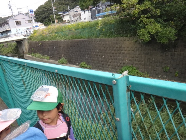 このはつちぐみ 川下り 2020_e0256851_20514996.jpg