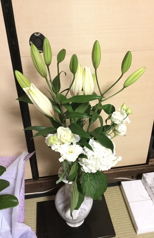 花が無い!_c0331864_20492701.jpeg