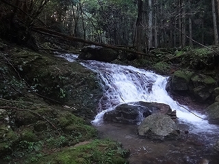 飛水峡左岸支流大洞谷から713.7m三角点（河岐）_e0064783_22120180.jpg