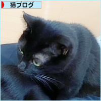 ニャニーズ事務所 女社長_a0389088_15060211.jpg