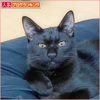 ニャニーズ事務所 女社長_a0389088_15060213.jpg