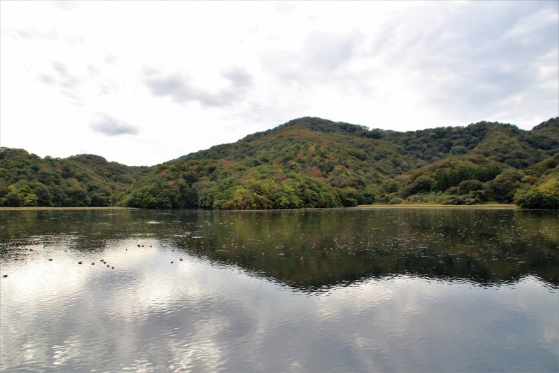 大山下池にて_b0207491_18240438.jpg