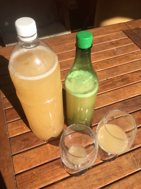 チェコの旬の飲み物「ブルチャーク」_f0401091_17062304.jpg