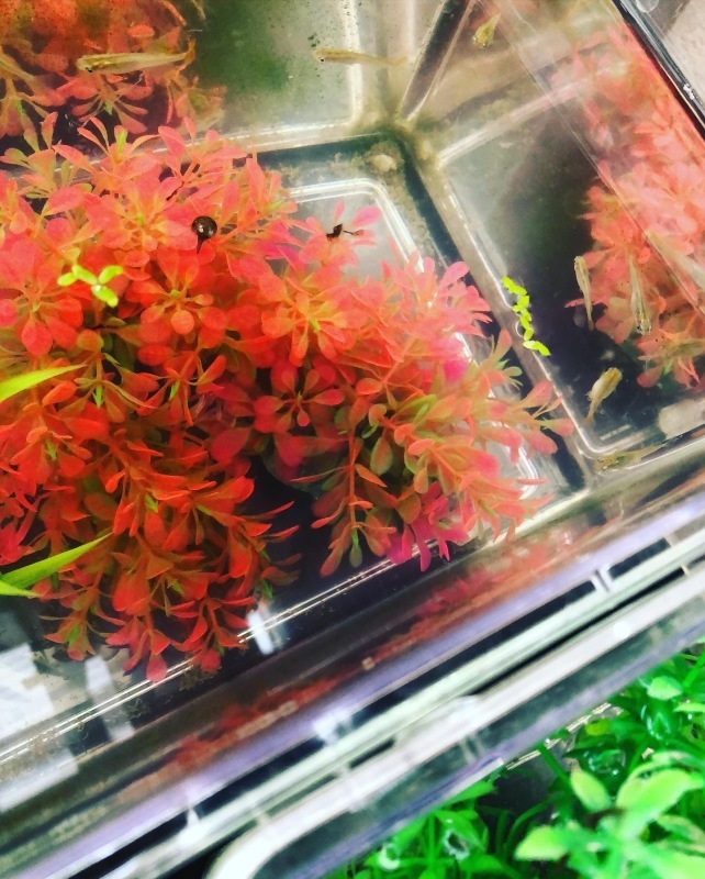 早朝散歩_a0129492_11514781.jpeg