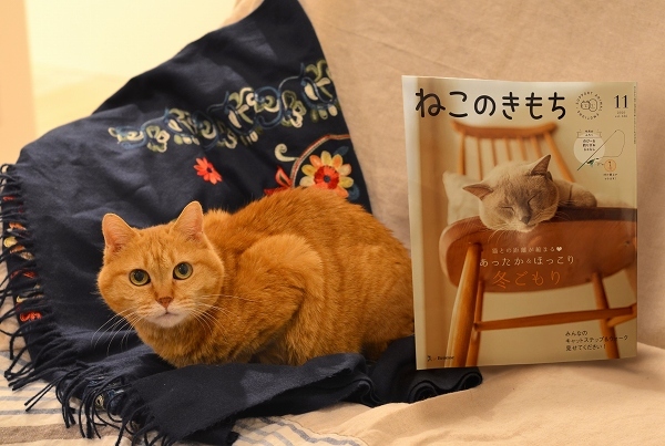 「ねこのきもち」11月号、そして「ねこのきもち WEB MAGAZINE」掲載のお知らせ_d0025294_22282755.jpg