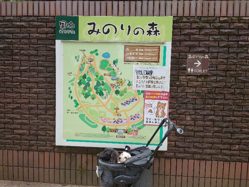 待ちに待った写真撮影♪_d0098295_17022988.jpg