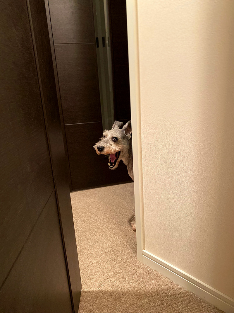 ぎろっ。時間に厳しいやつ。_e0277800_21493083.jpg