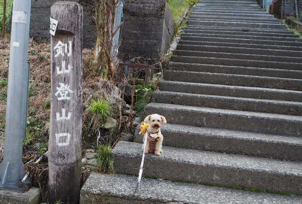 2020年10月3日　剣山登山_a0133211_21270769.jpg