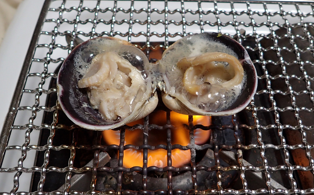 大井港よりイシダイ釣り。 2020年10月14日(水)_d0171823_21525429.jpg
