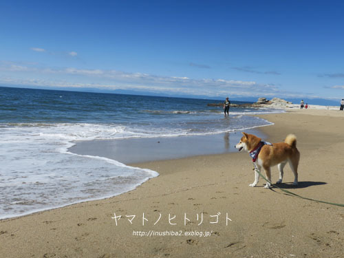 yamatoと波【フォトムービーあり】_e0394031_06112435.jpg
