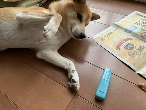 逸品 Panasonic 犬用バリカン Er803pp Macと日本酒とgisのブログ 逸品 Panasonic 犬用バリカン Er803pp Macと日本酒とgisのブログ