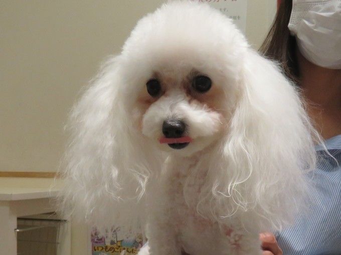 10月 15日の写真_c0174644_18331569.jpg