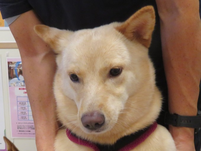 10月 15日の写真_c0174644_18331696.jpg