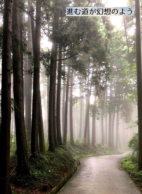<2020年秋>奥武蔵「日和田山」(職場仲間登山)&渡来人の里「高麗郷」(日高市)_c0119160_20483583.jpg