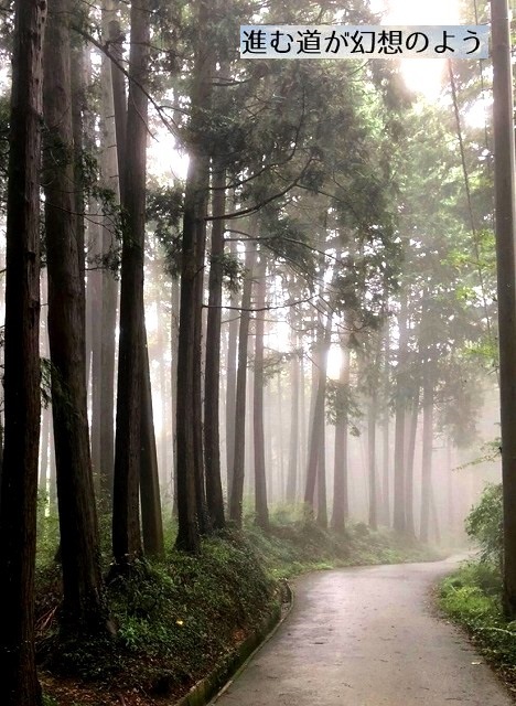 ＜2020年秋＞奥武蔵「日和田山」（職場仲間登山）＆渡来人の里「高麗郷」（日高市）_c0119160_20483583.jpg