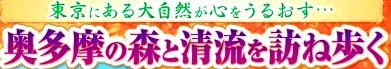 ＜2020年秋＞奥武蔵「日和田山」（職場仲間登山）＆渡来人の里「高麗郷」（日高市）_c0119160_21030219.jpg