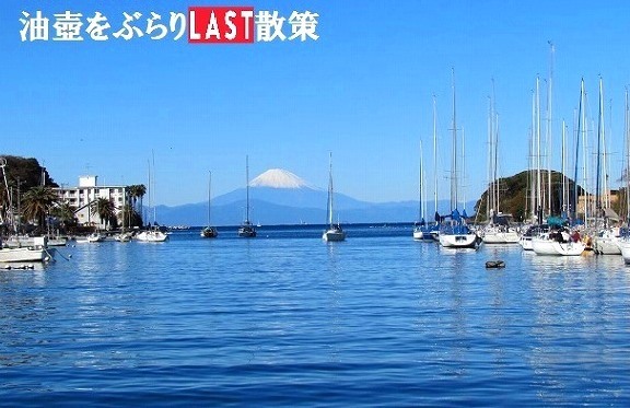 <2020年秋>奥武蔵「日和田山」(職場仲間登山)&渡来人の里「高麗郷」(日高市)_c0119160_21544124.jpg