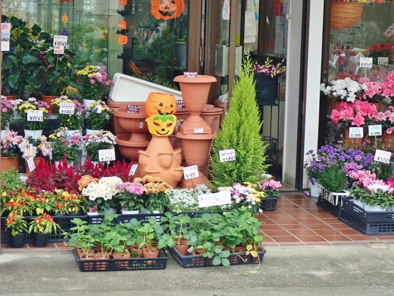 通行止めの「予告看板」を設置しました!_c0336902_21035750.jpg