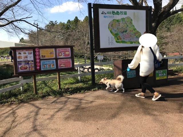 我が家の Go To キャンペーン 10 14 成田ゆめ牧場 青空 お日さま 笑顔