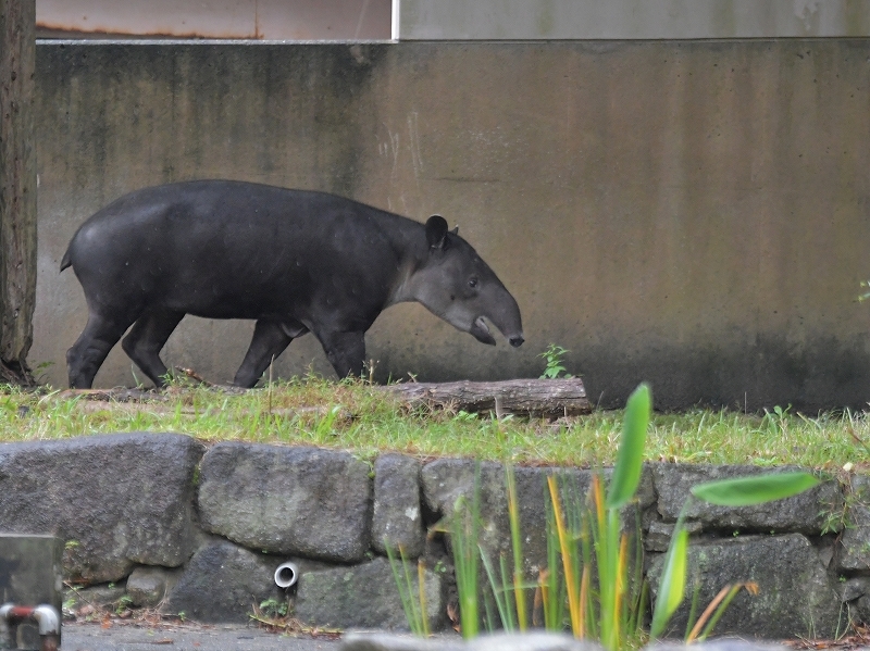 冷たい雨の日のアグア_a0164204_09564047.jpg