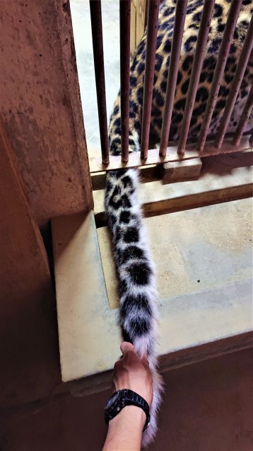ポンちゃんの健康診断_c0290504_14573719.jpg