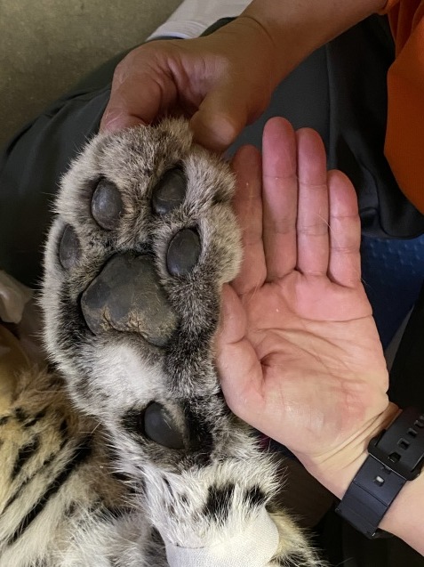 ポンちゃんの健康診断_c0290504_15013288.jpg