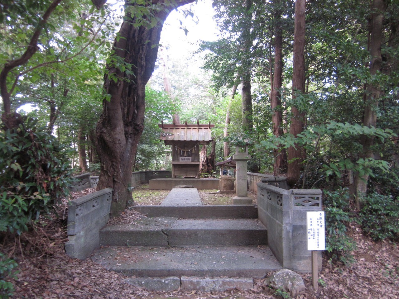 鎌田神明宮 参拝 見学_c0376508_16272078.jpg