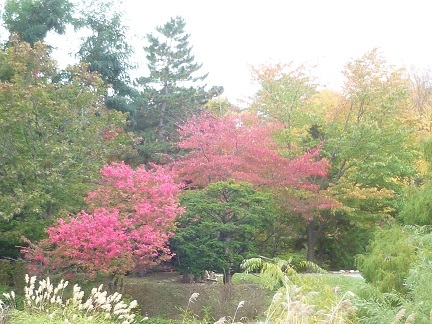 キタラでクラシック_b0198109_10375652.jpg