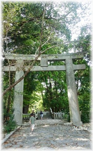 糸島の神社にお参りしました_d0387712_22061082.jpg