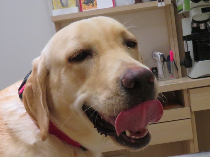 10月 16日の写真_c0174644_11342832.jpg