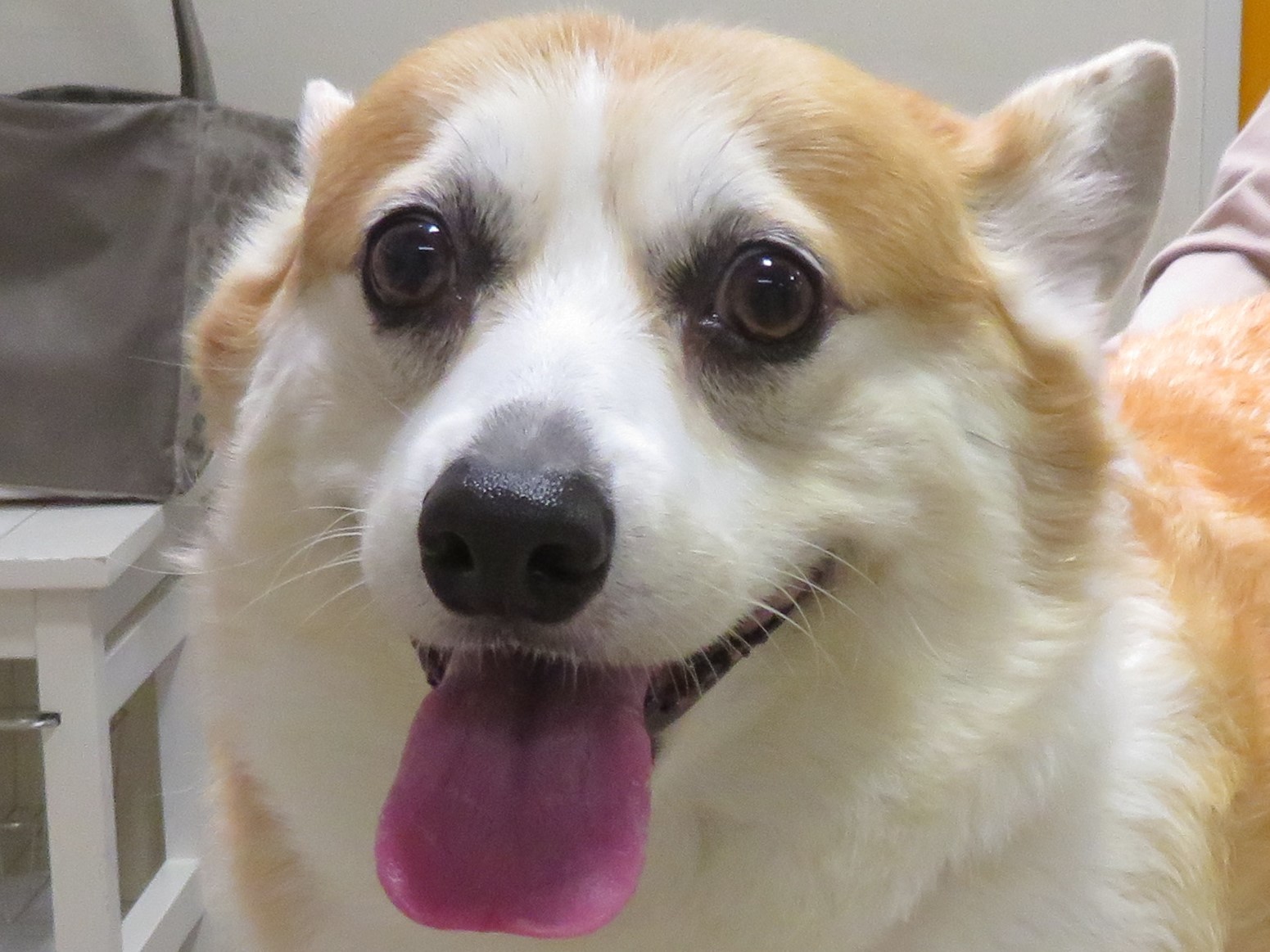10月 16日の写真_c0174644_16531161.jpg