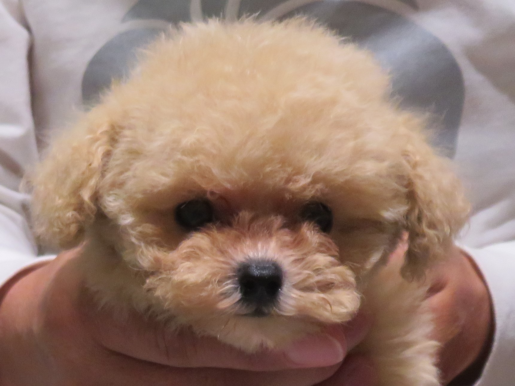 10月 16日の写真_c0174644_17272567.jpg