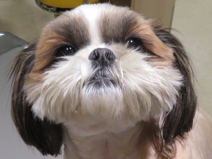 10月 16日の写真_c0174644_18552489.jpg