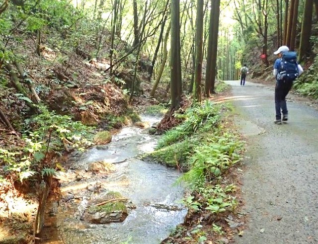<2020年秋>奥武蔵「日和田山」(職場仲間登山)&渡来人の里「高麗郷」(日高市)_c0119160_06134493.jpg