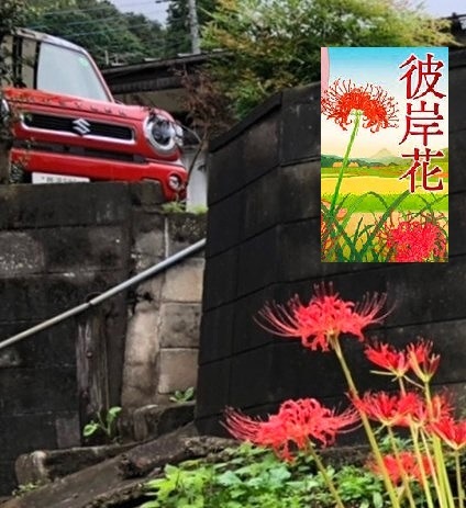 <2020年秋>奥武蔵「日和田山」(職場仲間登山)&渡来人の里「高麗郷」(日高市)_c0119160_06232035.jpg