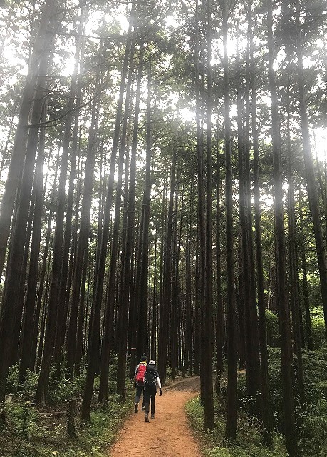 <2020年秋>奥武蔵「日和田山」(職場仲間登山)&渡来人の里「高麗郷」(日高市)_c0119160_07193454.jpg