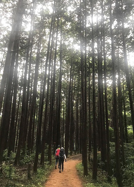 ＜2020年秋＞奥武蔵「日和田山」（職場仲間登山）＆渡来人の里「高麗郷」（日高市）_c0119160_07193454.jpg