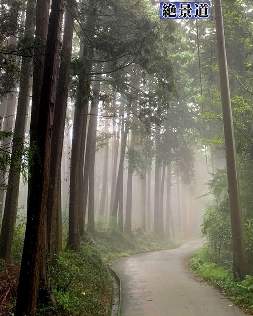 ＜2020年秋＞奥武蔵「日和田山」（職場仲間登山）＆渡来人の里「高麗郷」（日高市）_c0119160_20170273.jpg