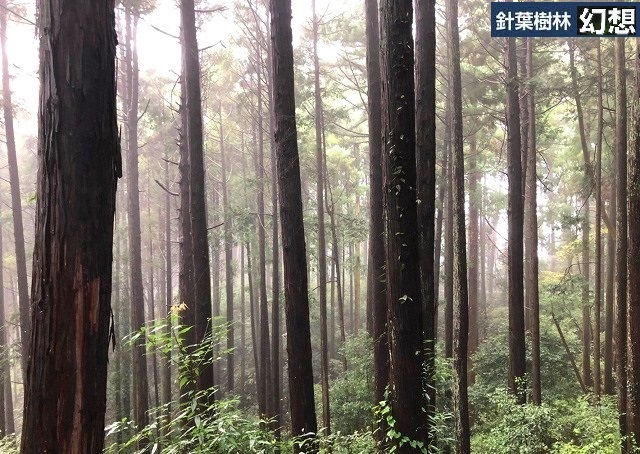 ＜2020年秋＞奥武蔵「日和田山」（職場仲間登山）＆渡来人の里「高麗郷」（日高市）_c0119160_20174093.jpg