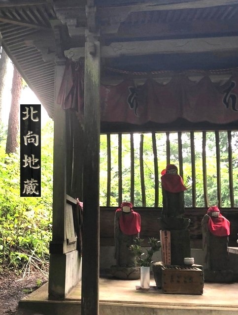 <2020年秋>奥武蔵「日和田山」(職場仲間登山)&渡来人の里「高麗郷」(日高市)_c0119160_20385130.jpg