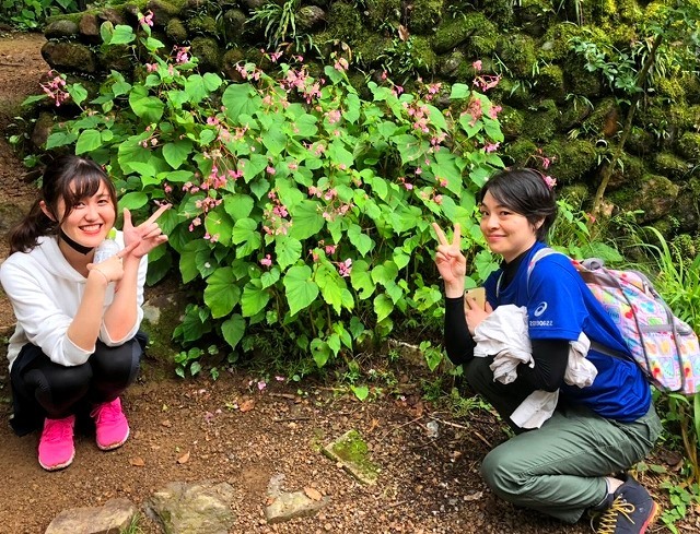 <2020年秋>奥武蔵「日和田山」(職場仲間登山)&渡来人の里「高麗郷」(日高市)_c0119160_20493781.jpg